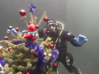 Underwater Christmas tree