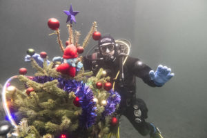 Underwater Christmas tree